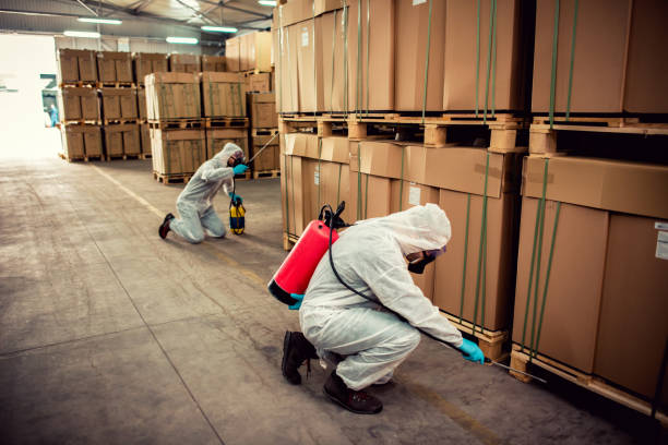 Best Emergency Pest Control  in Bryant, AR