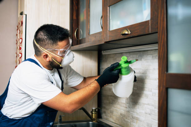 Best Exterminator Services  in Bryant, AR