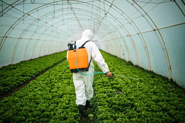 Best Mosquito Control Services  in Bryant, AR