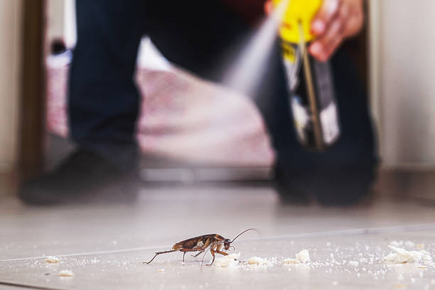 Trusted Bryant, AR Pest Control Experts